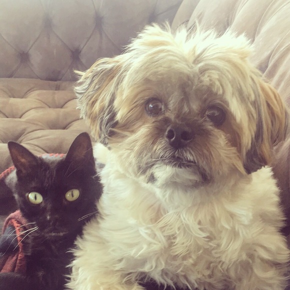 Hello there! I’m Jacquelyn! - Picture 2 of 8